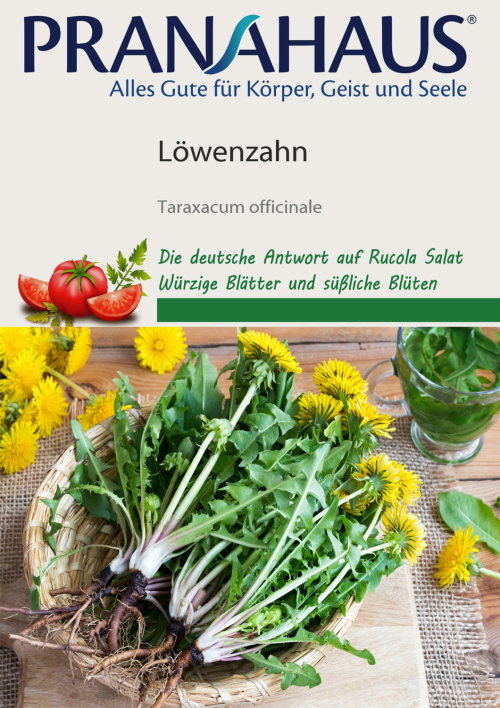 Löwenzahn, Samen, Produktbild 1