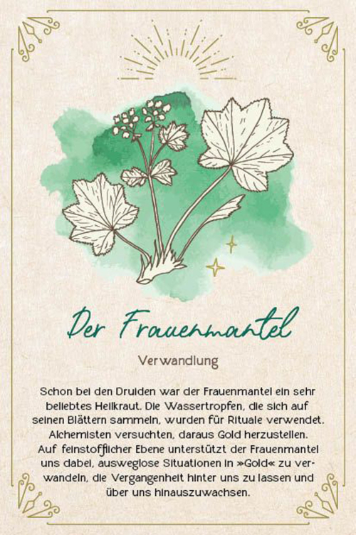 Naturmoment für die Seele Orakel, Produktbild 3