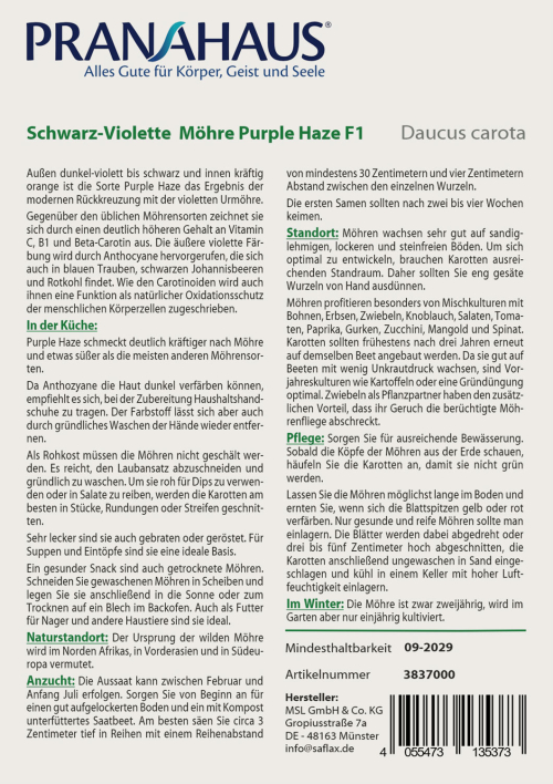 Schwarz-Violette Möhre „Purple Haze“, Samen, Produktbild 2