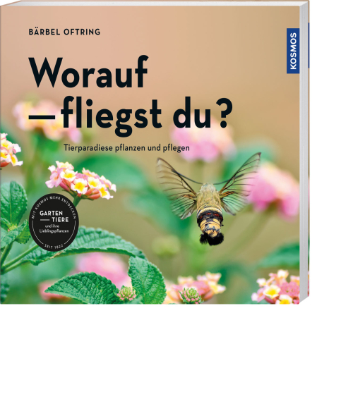 Worauf fliegst du?*, Produktbild 1