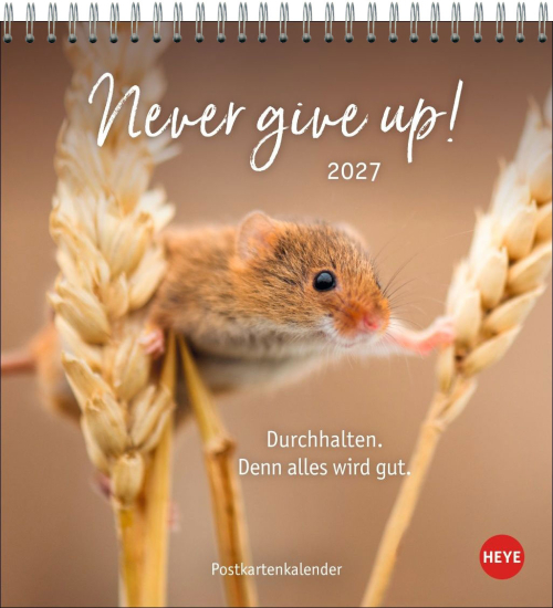 Never give up! 2027, Produktbild 1