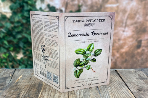 Zauberpflanzen „Gewöhnliche Brechnuss“, Samen, Produktbild 4