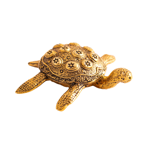 Schildkröte, Produktbild 1