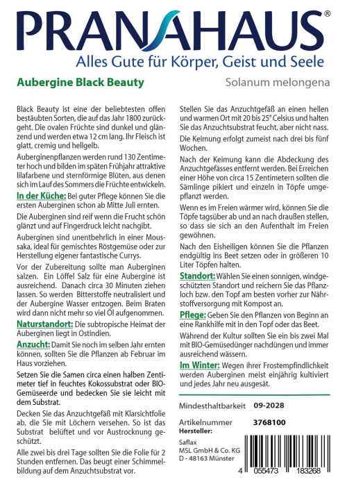 Aubergine „Black Beauty“, Samen, Produktbild 2