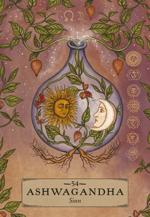 Herbal Astrology Orakel, Produktbild 4