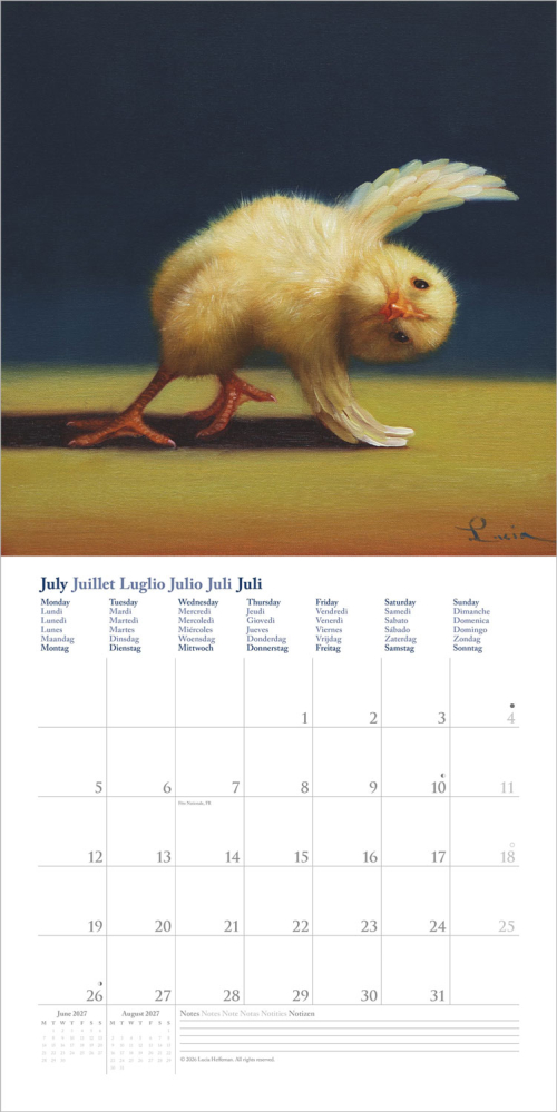 Yoga Chicks 2027, Produktbild 2