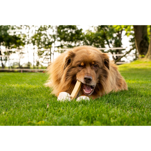 Dauerkauer Käsekauknochen für Hunde, Produktbild 3