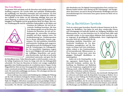 Homöopathische Symbolapotheke: Psyche und Gemüt, Produktbild 4