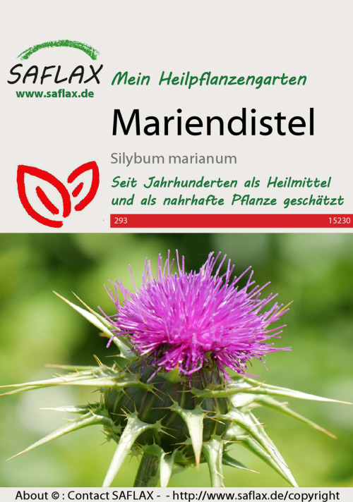 Mariendistel, Samen, Produktbild 1