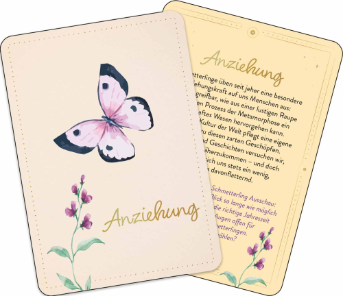 Zauber der Schmetterlinge, Produktbild 2