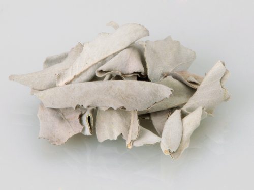 Weißer Salbei, lose 60 gr, Produktbild 2