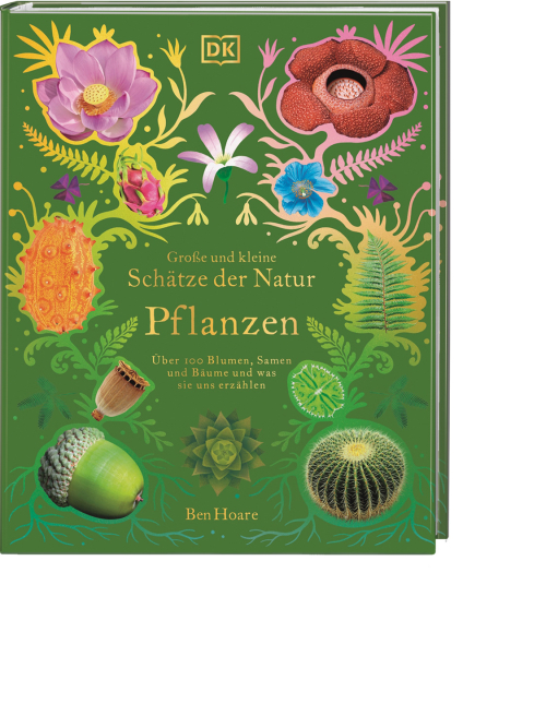 Große und kleine Schätze der Natur – Pflanzen, Produktbild 1