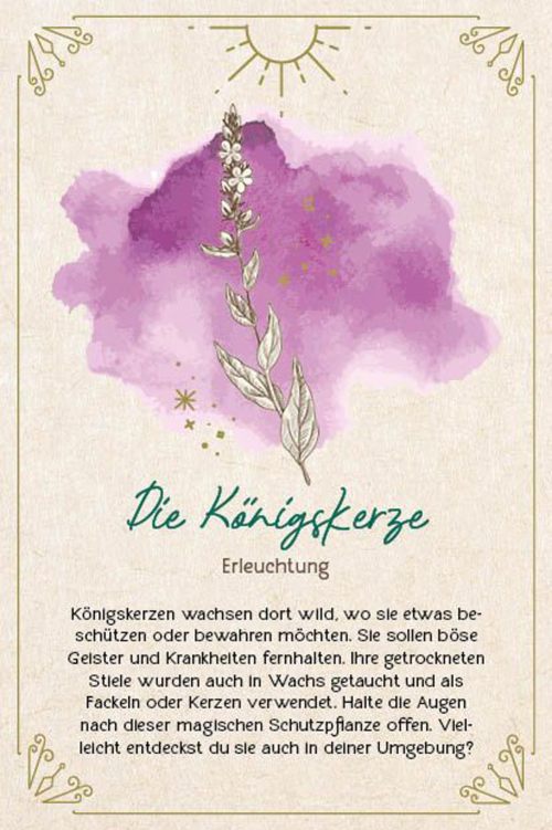 Naturmoment für die Seele Orakel, Produktbild 2