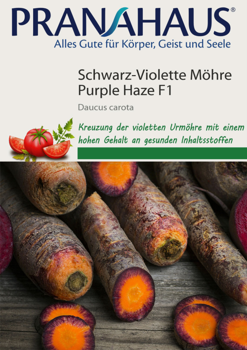 Schwarz-Violette Möhre „Purple Haze“, Samen, Produktbild 1