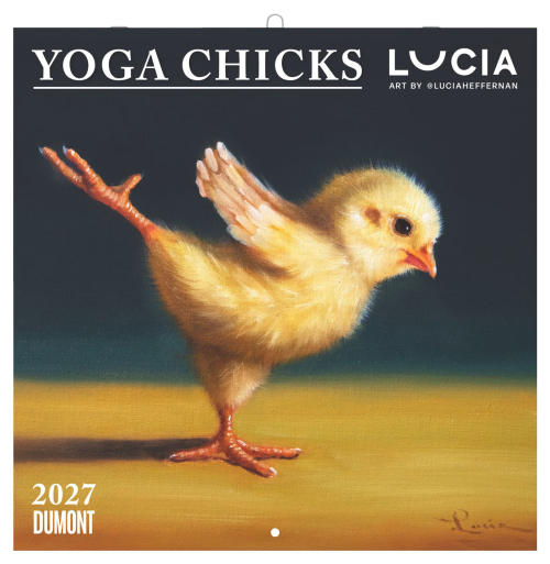 Yoga Chicks 2027, Produktbild 1