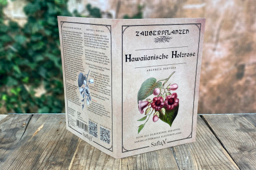 Zauberpflanzen „Hawaiianische Holzrose“, Samen, Produktbild 3