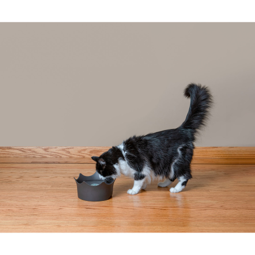 CrownJuwel Edelsteinwasserschale für Katzen und Hunde, schiefergrau, Produktbild 2