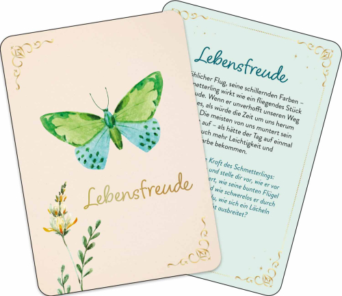 Zauber der Schmetterlinge, Produktbild 7