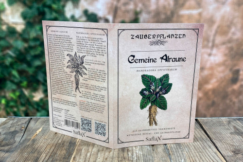 Zauberpflanzen „Gemeine Alraune“, Samen, Produktbild 3