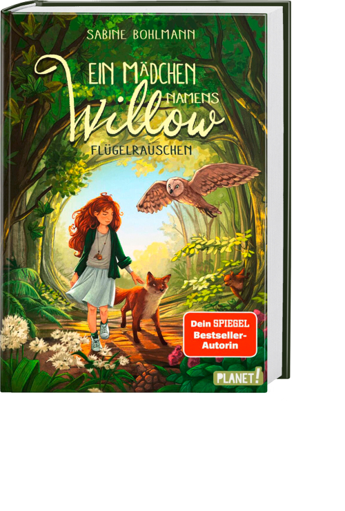 Ein Mädchen namens Willow 3: Flügelrauschen, Produktbild 1