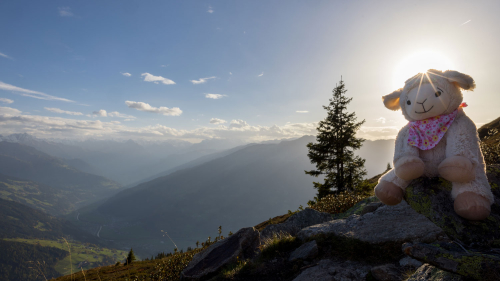 Zirbenschaf „Flori” rosa, Produktbild 6