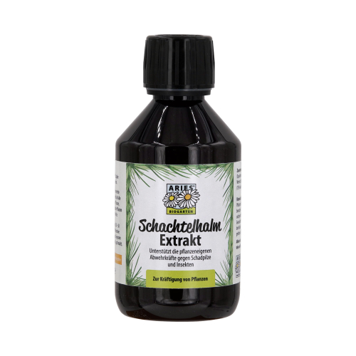 Schachtelhalm Extrakt, Produktbild 1