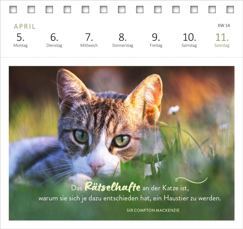Katzenweisheiten 2027, Produktbild 2