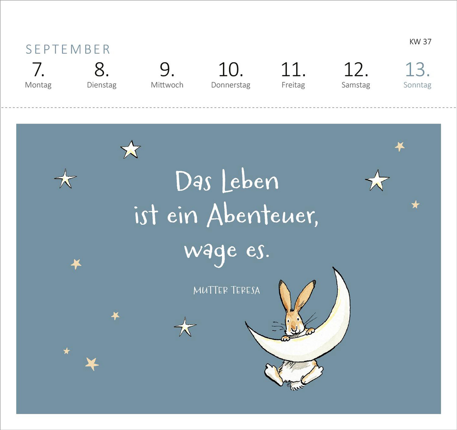 Weißt du eigentlich, wie lieb ich dich hab? 2026, Produktbild 3