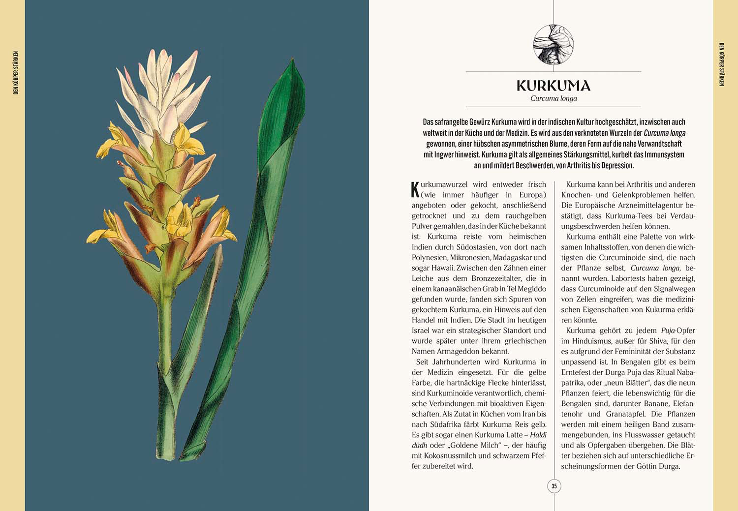 Der Garten des Apothekers, Produktbild 4