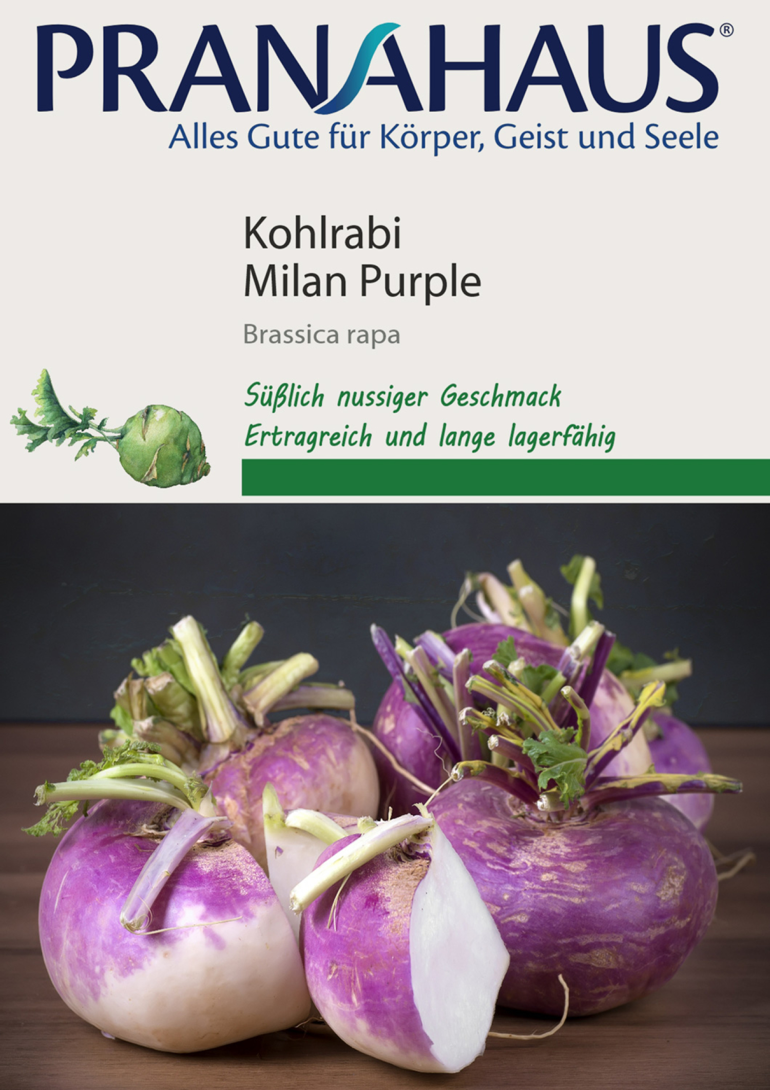 Kohlrabi „Milan Purple“, Samen, Produktbild 1