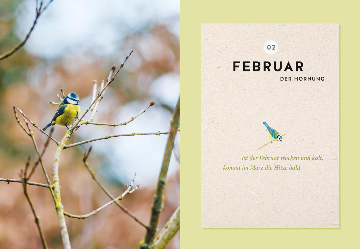 Mein Gartenkalender 2026, Produktbild 5
