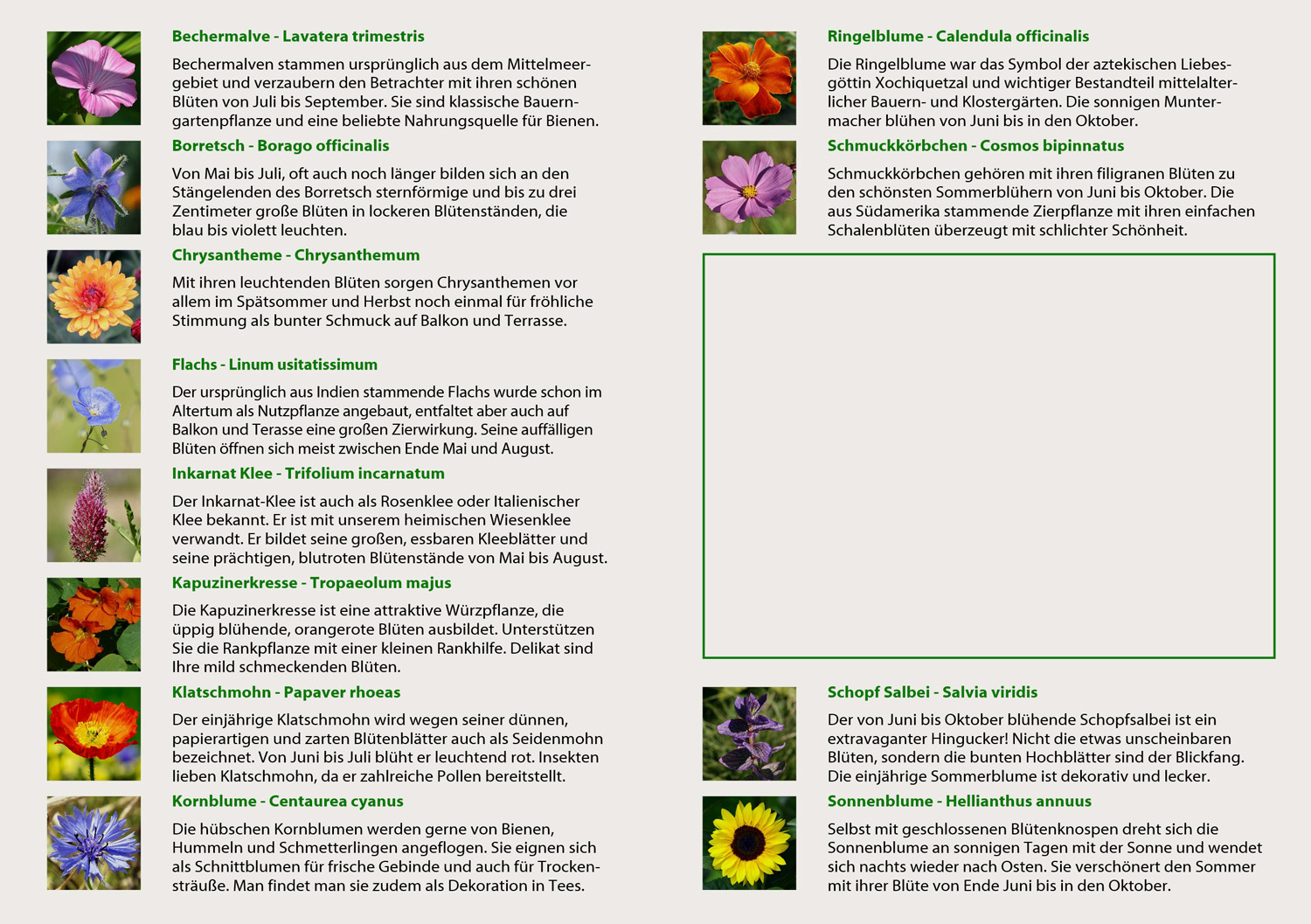 GRATIS: Blumenmischung Essbare Blüten, Samen, Produktbild 2