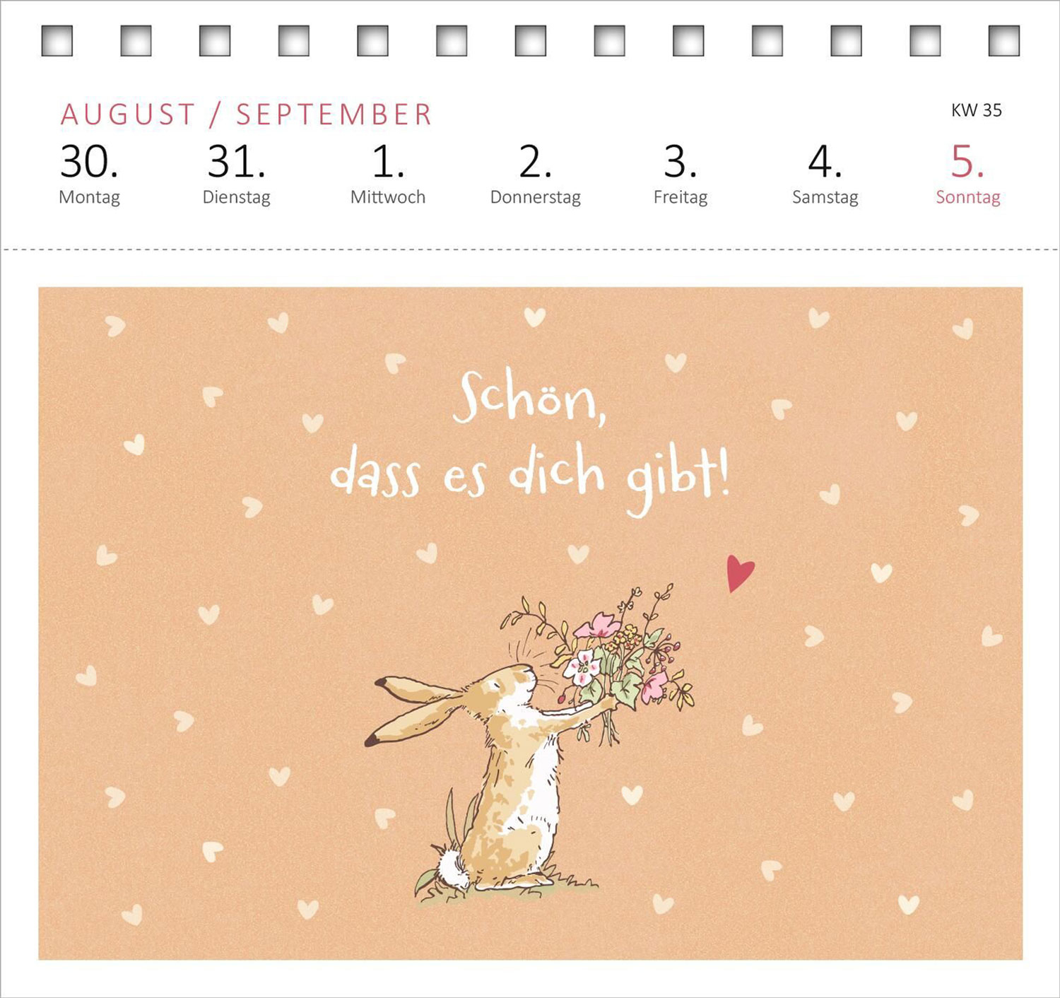 Weißt du eigentlich, wie lieb ich dich hab? 2027, Produktbild 3
