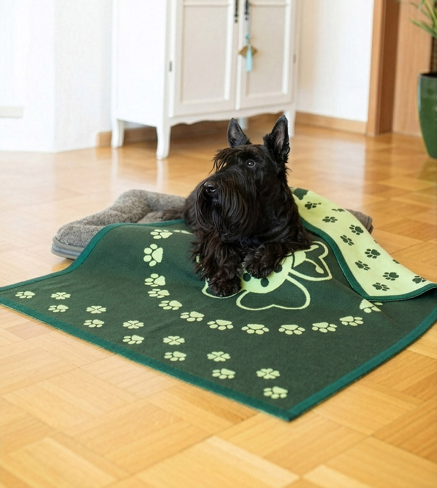 Haustierdecke „Viel Glück“, Produktbild 3