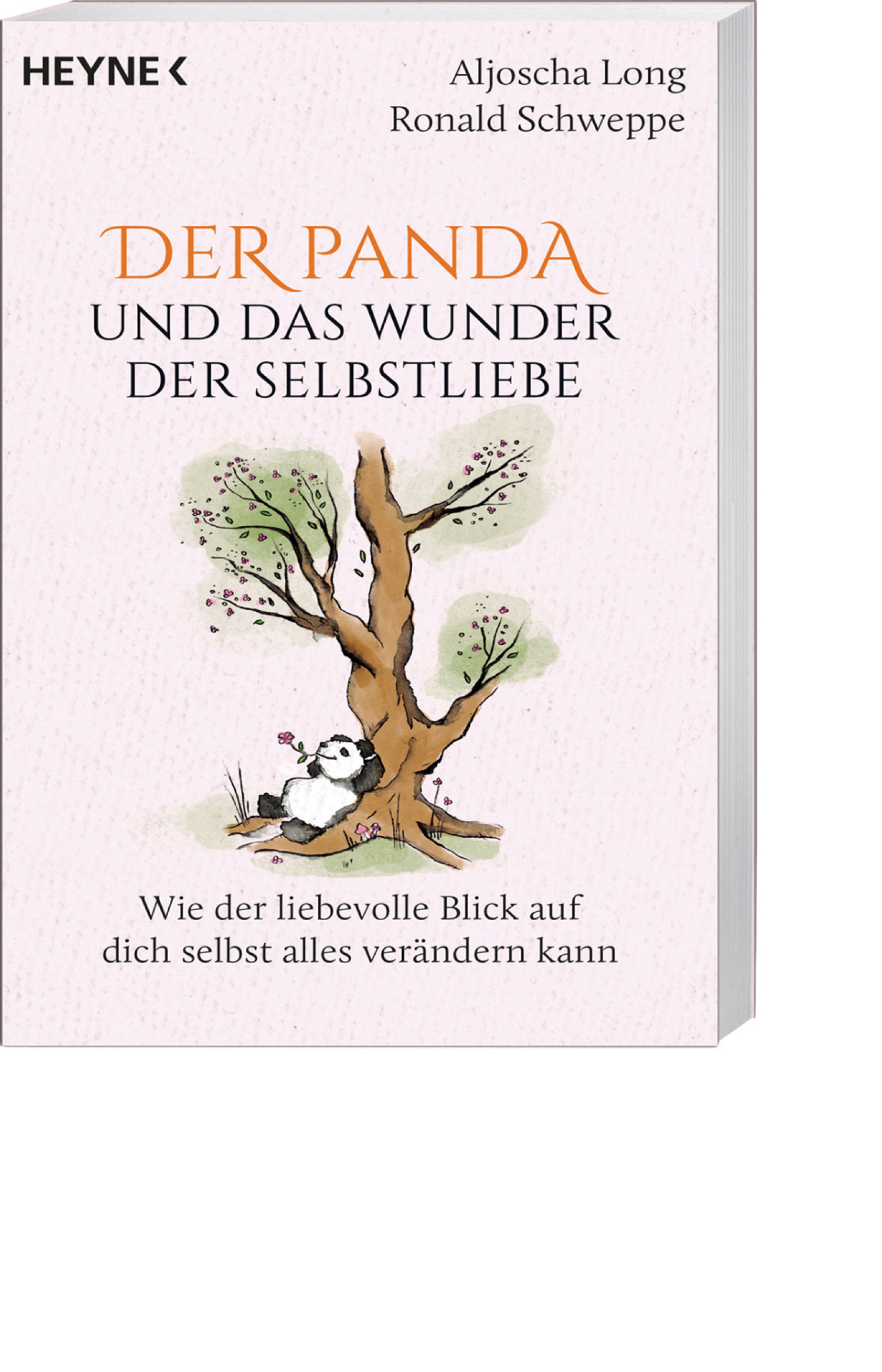 Der Panda und das Wunder der Selbstliebe, Produktbild 1