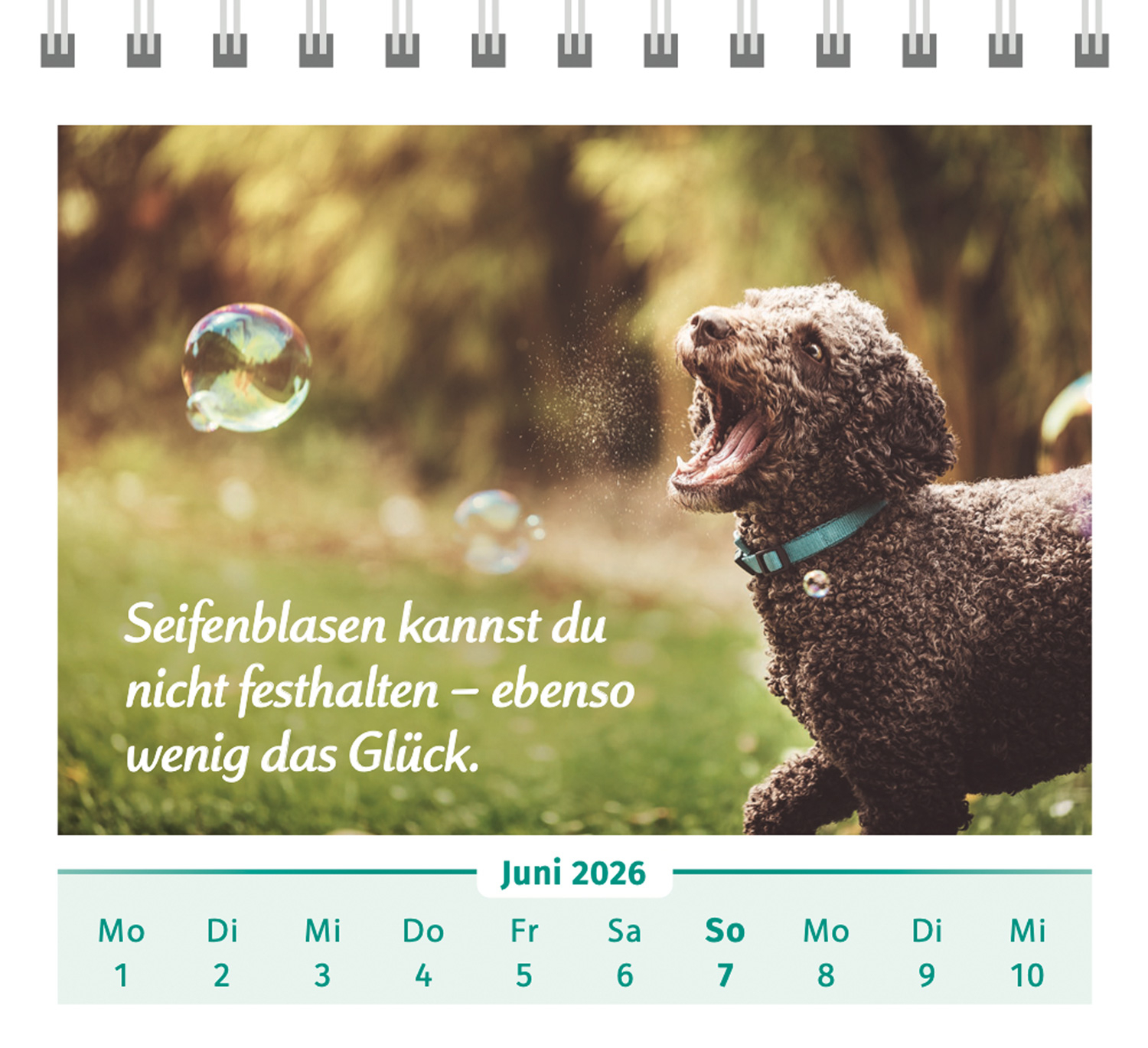 Der Lebensfreude Tischkalender 2026, Produktbild 5