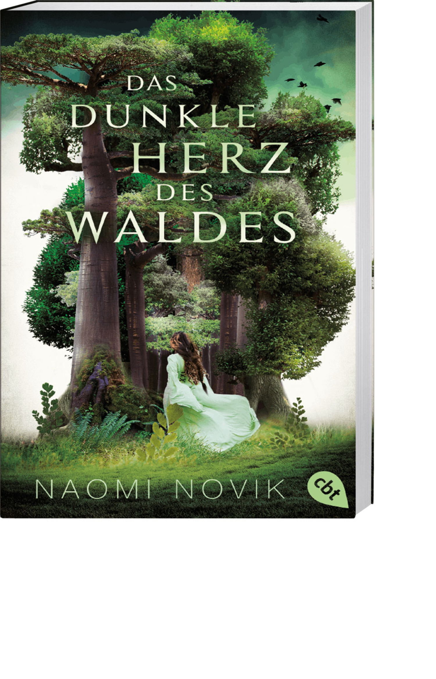 Das dunkle Herz des Waldes, Produktbild 1