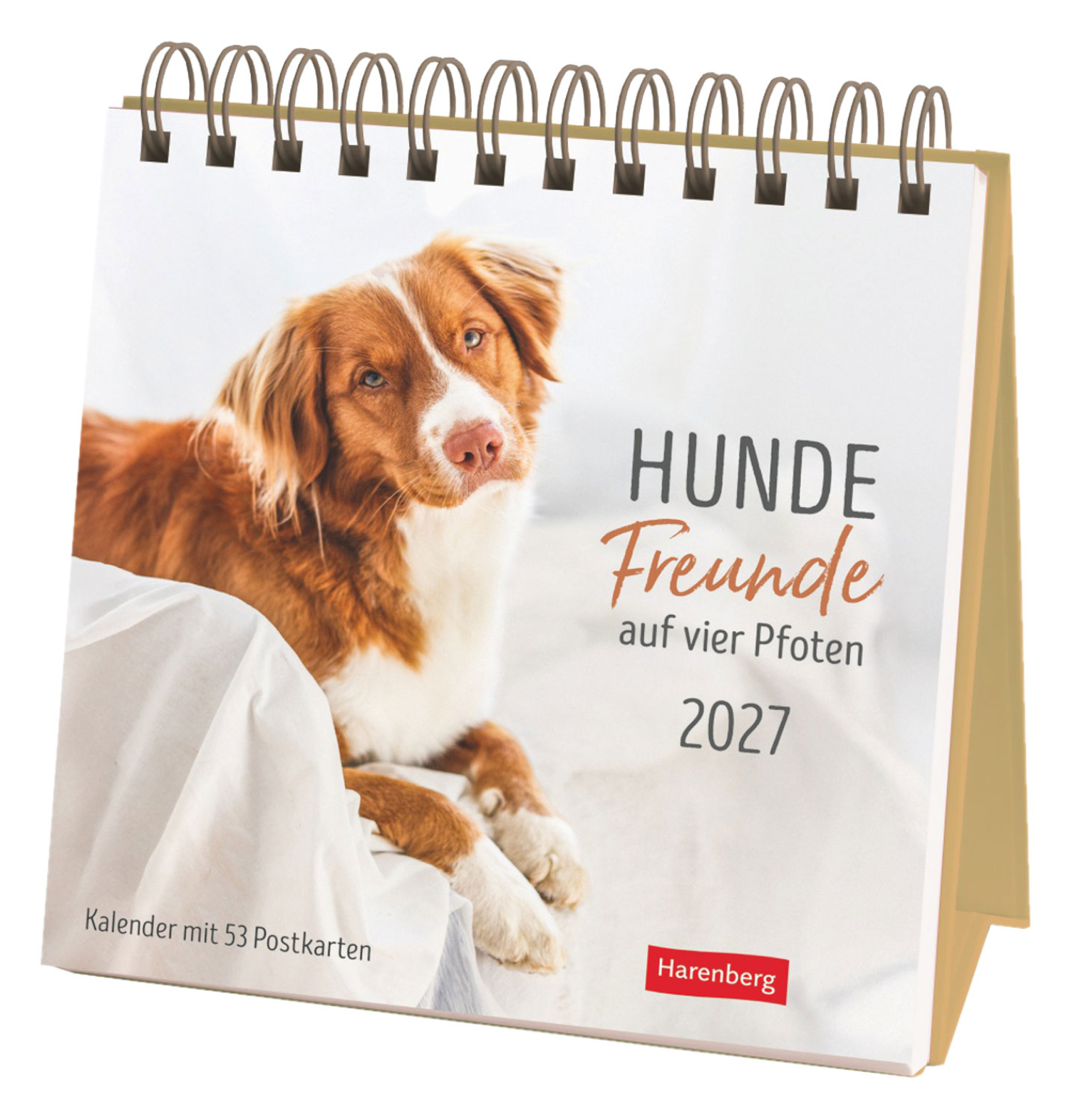 Hundefreunde auf vier Pfoten 2027, Produktbild 1