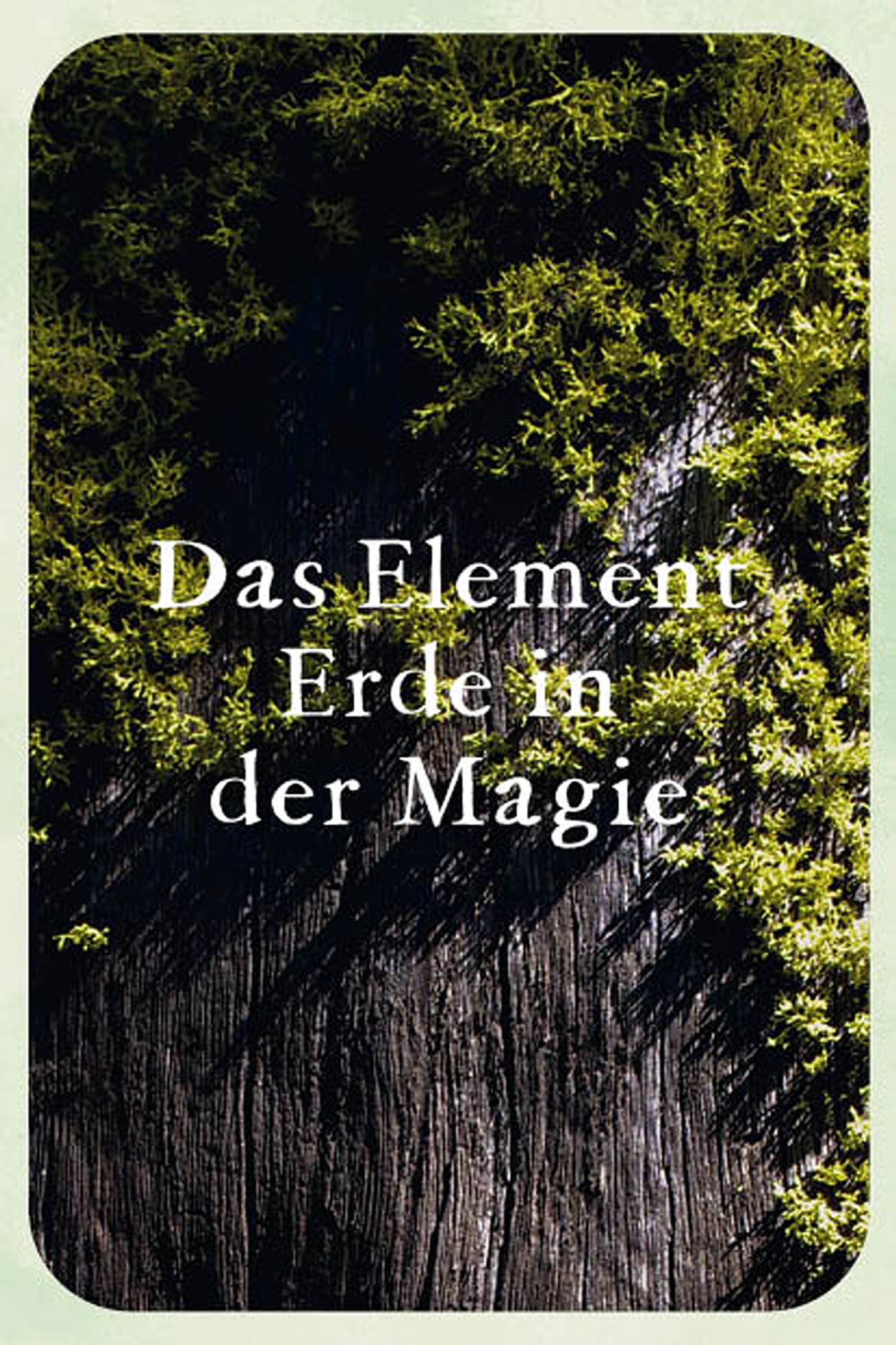 Magie im Hexengarten, Produktbild 3