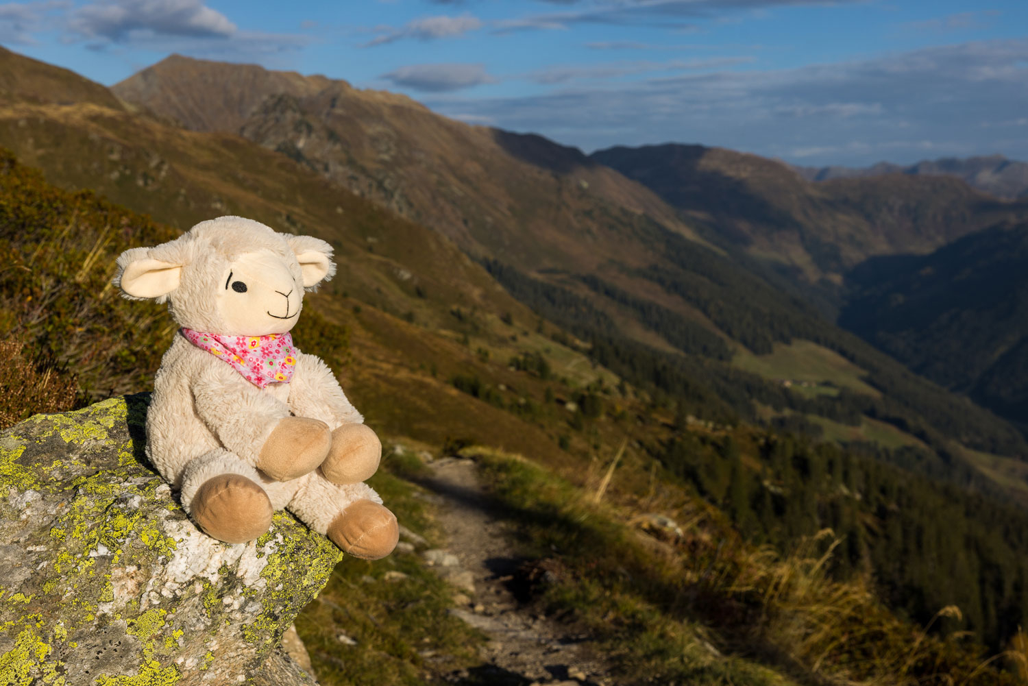 Zirbenschaf „Flori” rosa, Produktbild 7