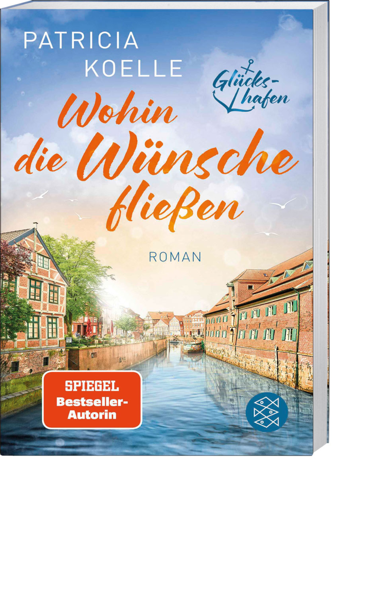 Wohin die Wünsche fließen, Produktbild 1