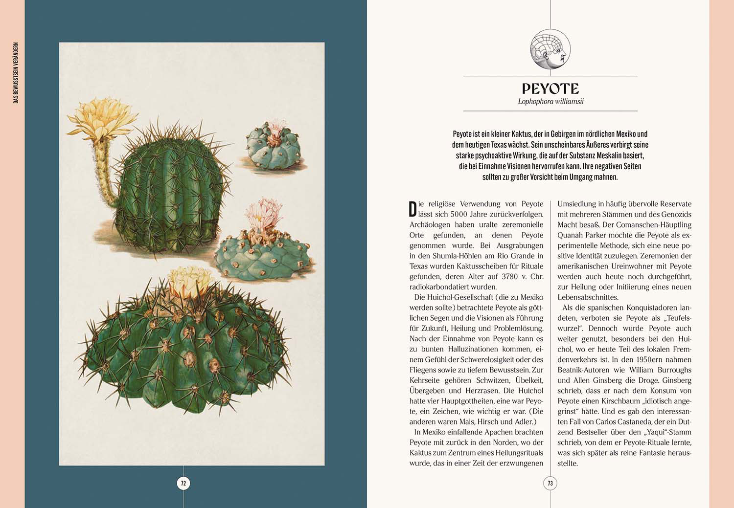 Der Garten des Apothekers, Produktbild 2