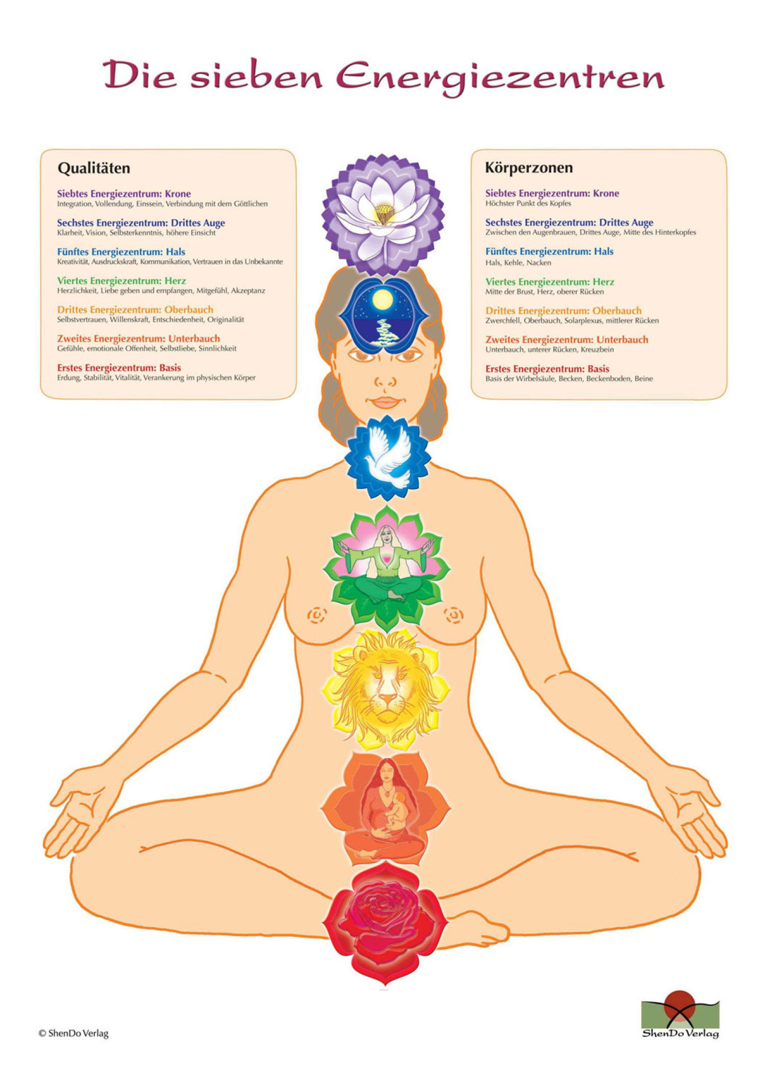 Die sieben Energiezentren Poster, Produktbild 1