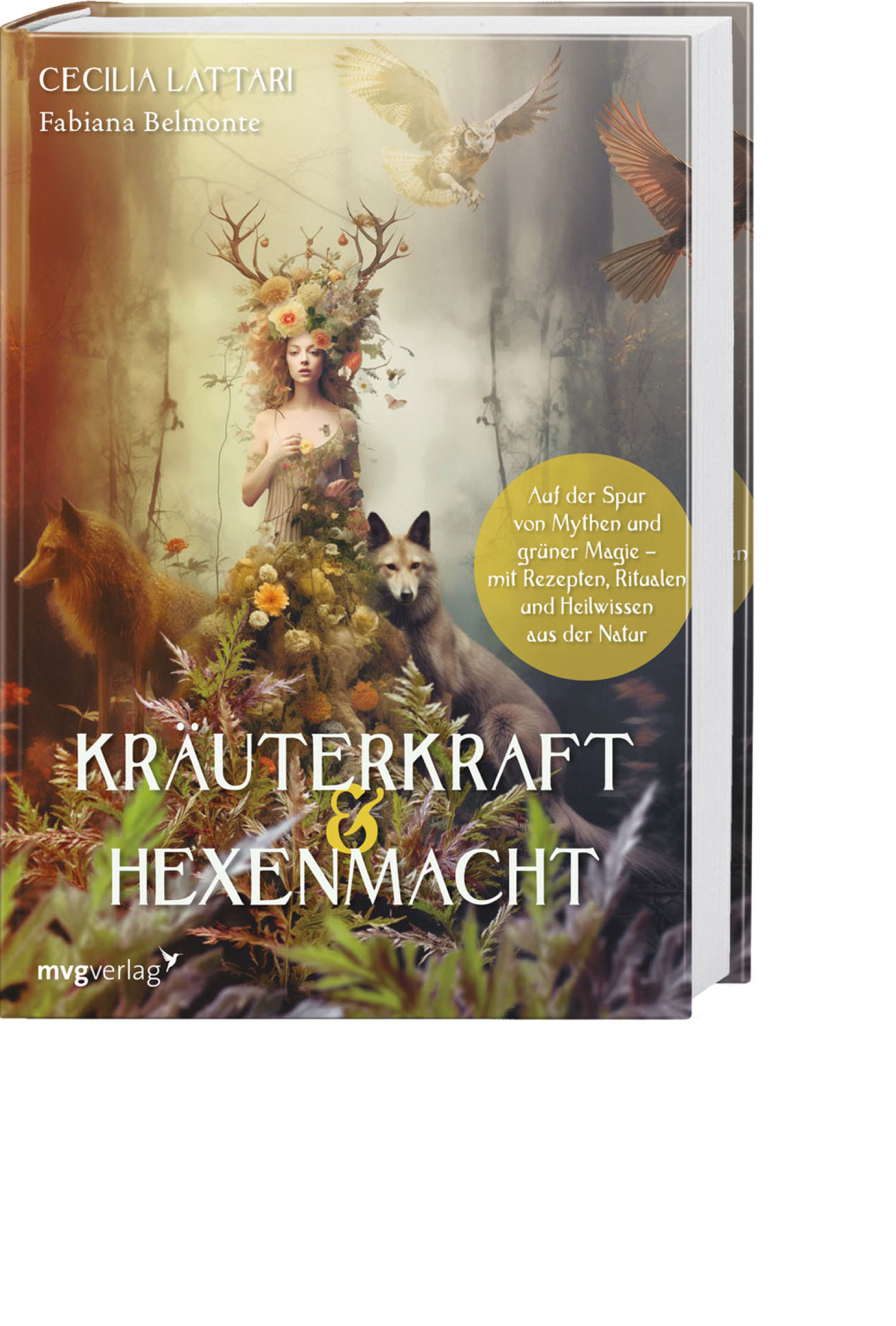 Kräuterkraft und Hexenmacht, Produktbild 1