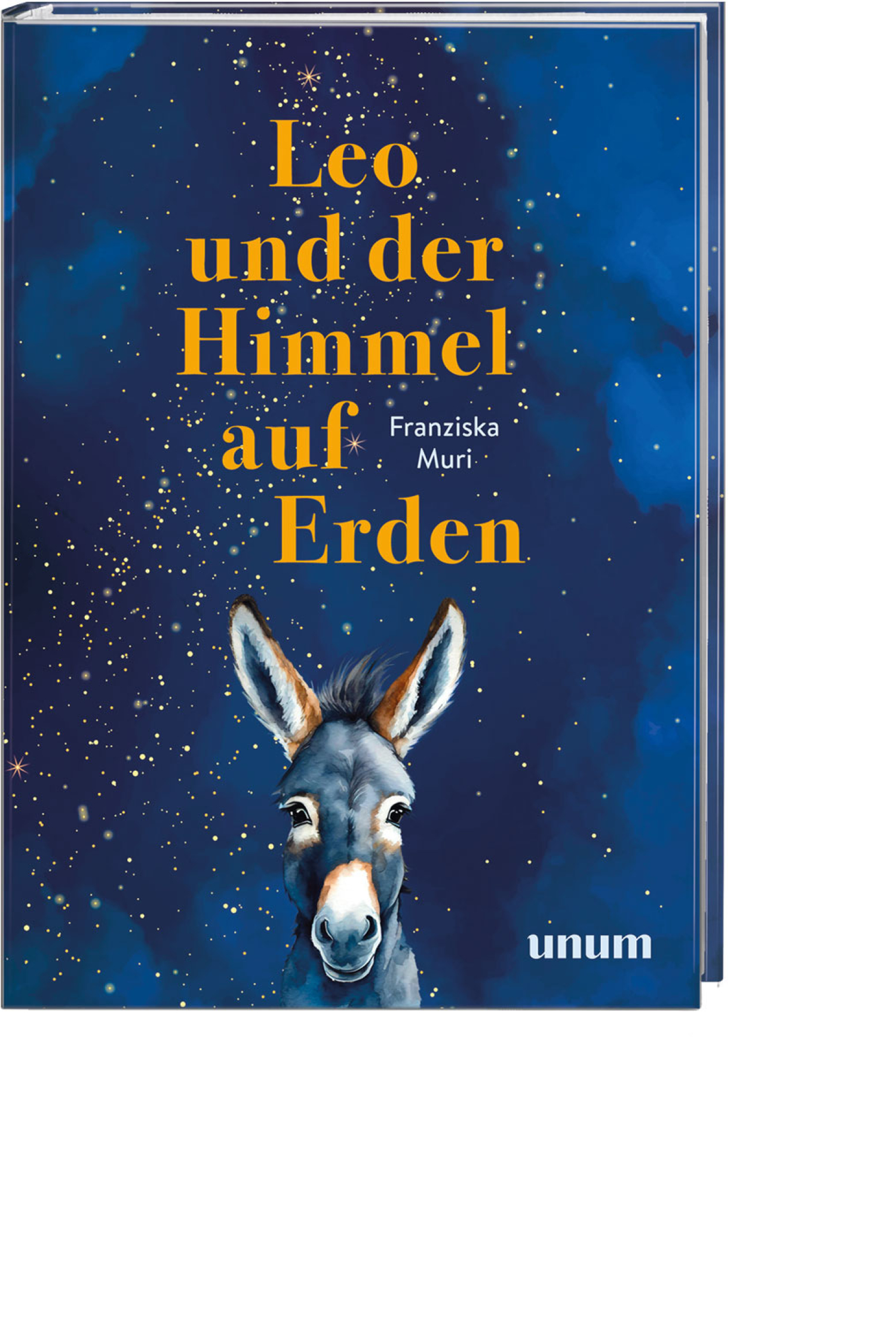 Leo und der Himmel auf Erden, Produktbild 1