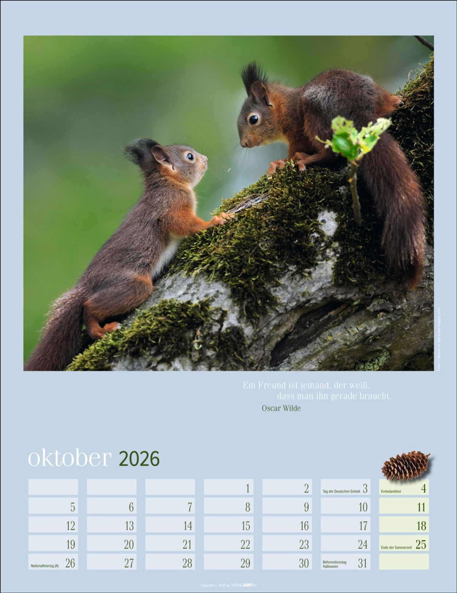 Eichhörnchen 2026, Produktbild 2