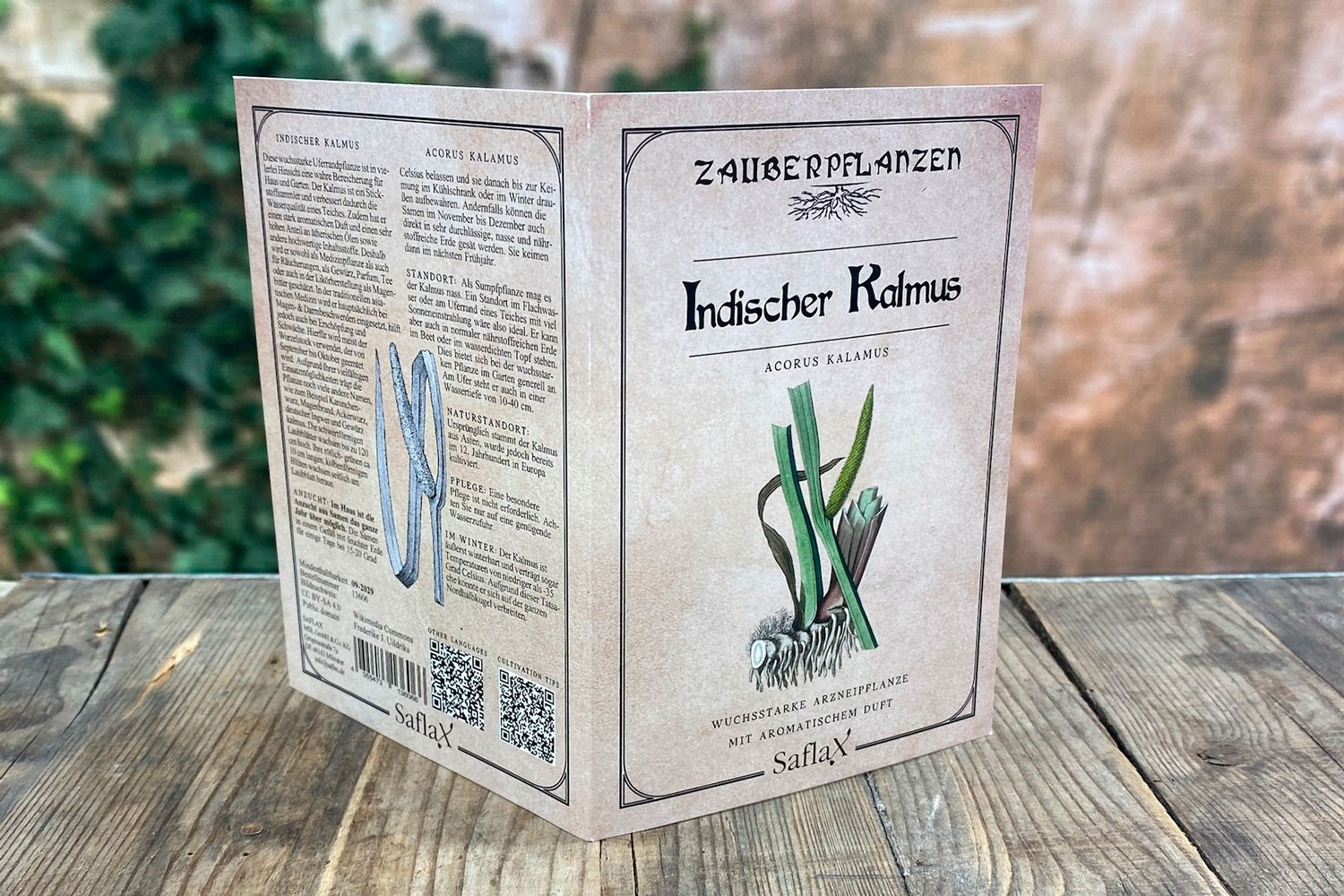 Zauberpflanzen „Indischer Kalmus“, Samen, Produktbild 3