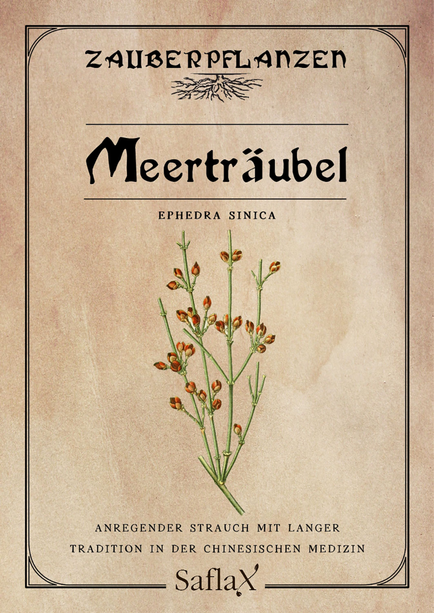 Zauberpflanzen „Meerträubel“, Samen, Produktbild 1