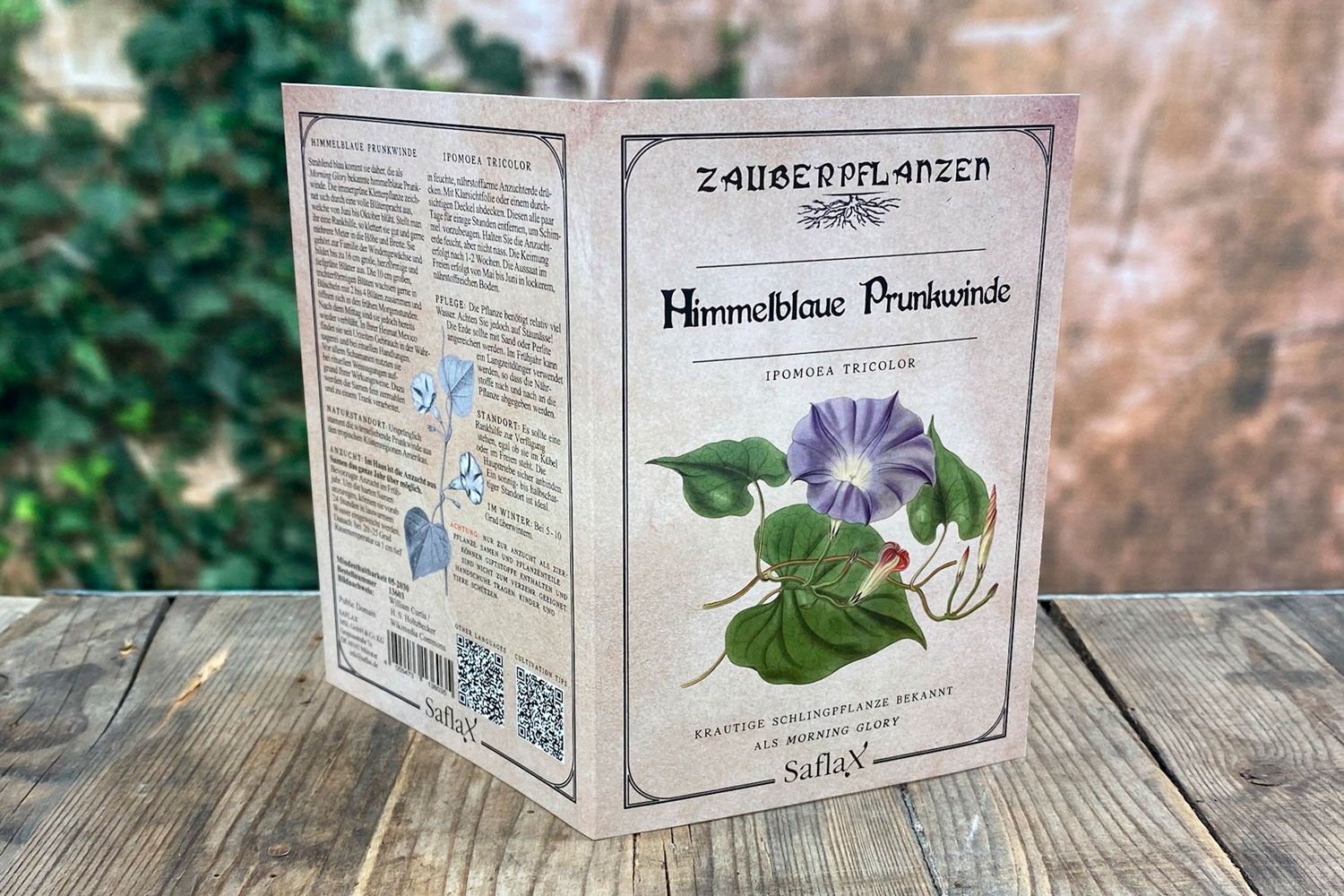 Zauberpflanzen „Himmelblaue Prunkwinde“, Samen, Produktbild 2