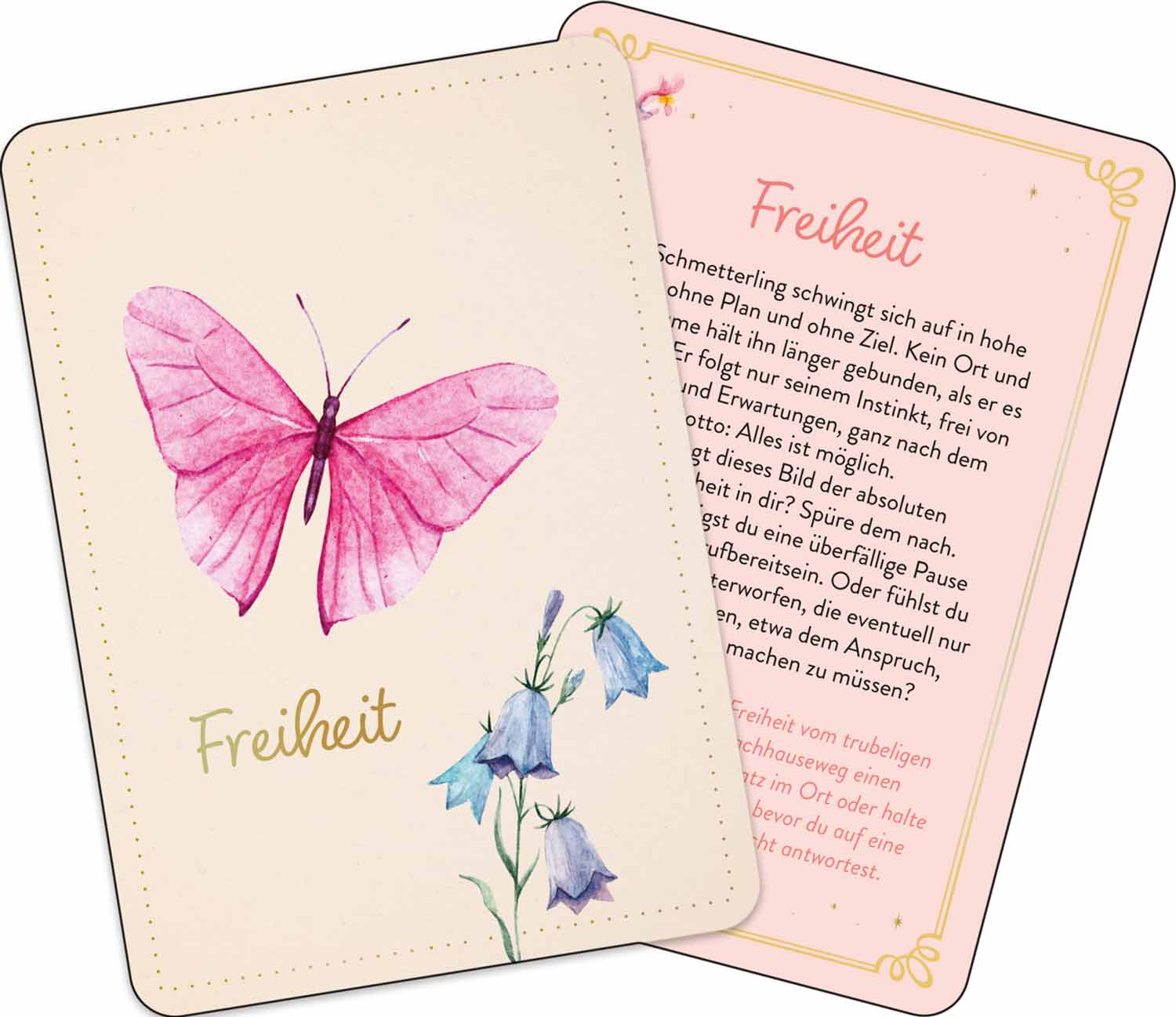 Zauber der Schmetterlinge, Produktbild 5